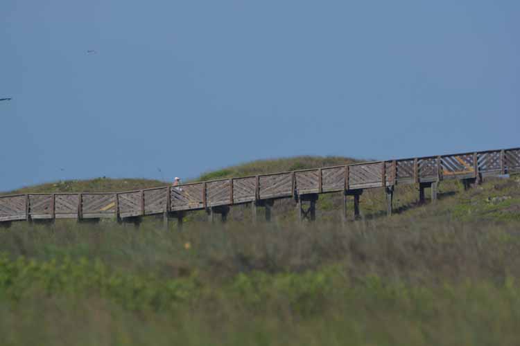 Mustang Island